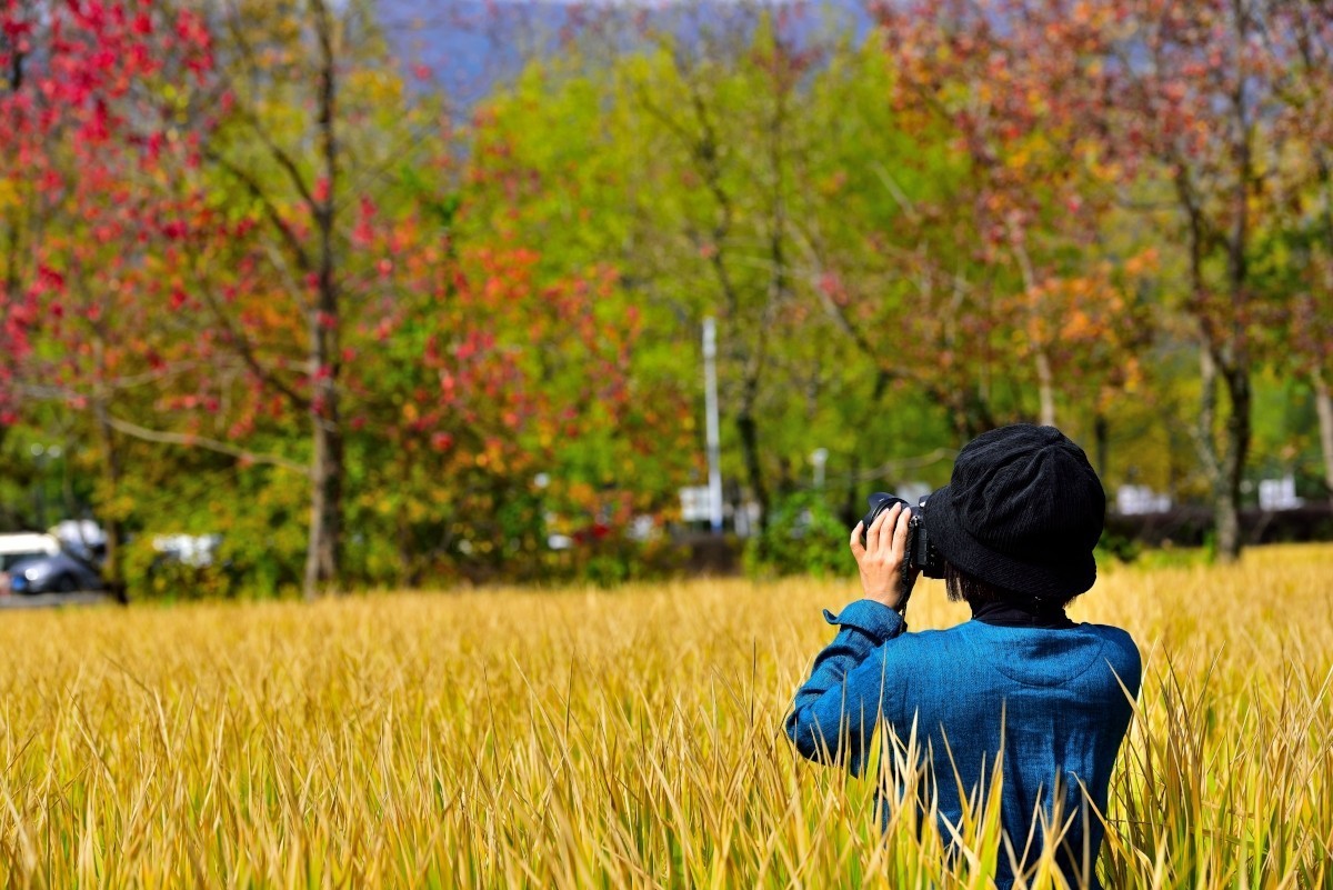 秋染塔川（一）