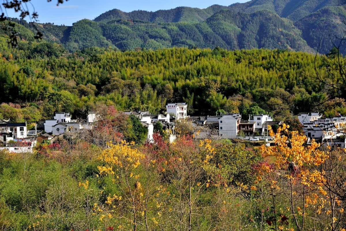 秋染塔川（二）