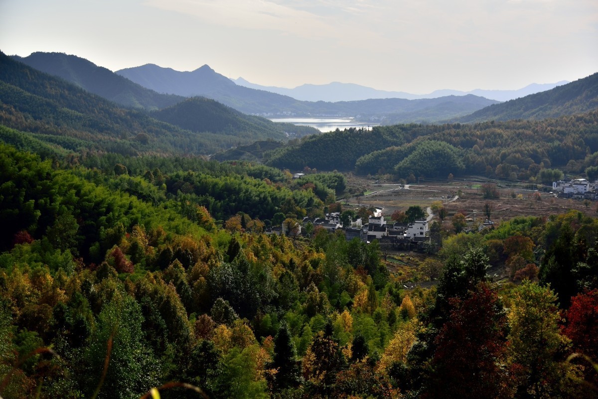 秋染塔川（二）