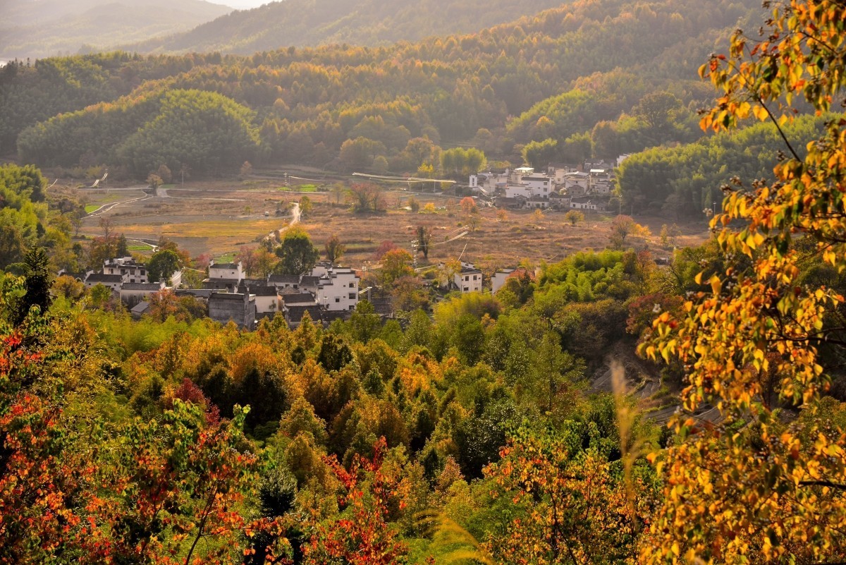秋染塔川（二）