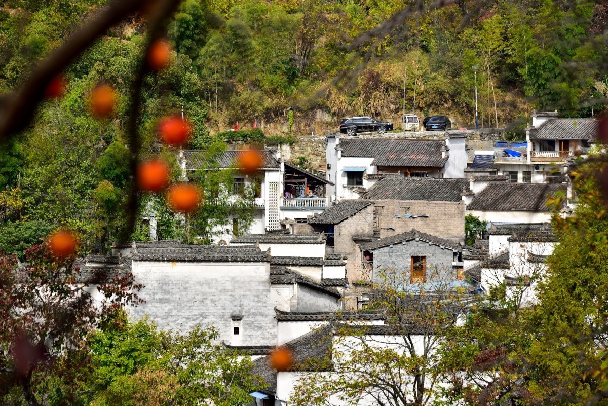 秋染塔川（三）