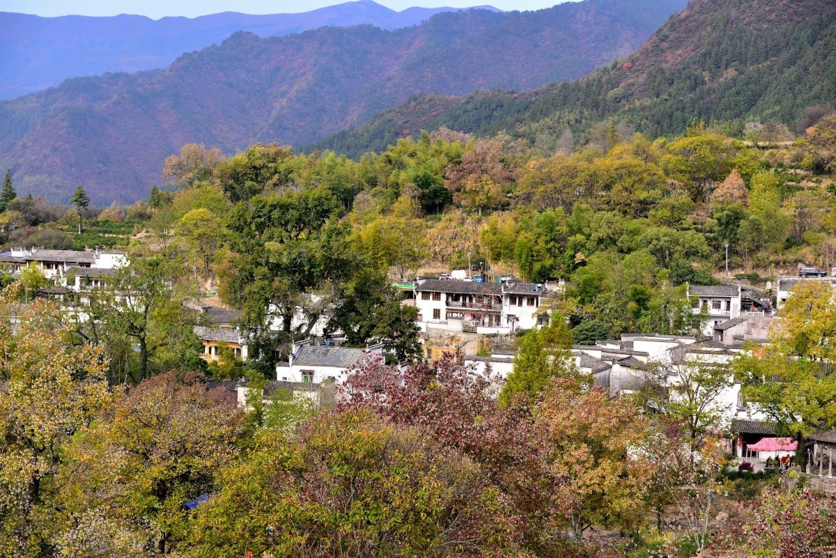 秋染塔川（三）