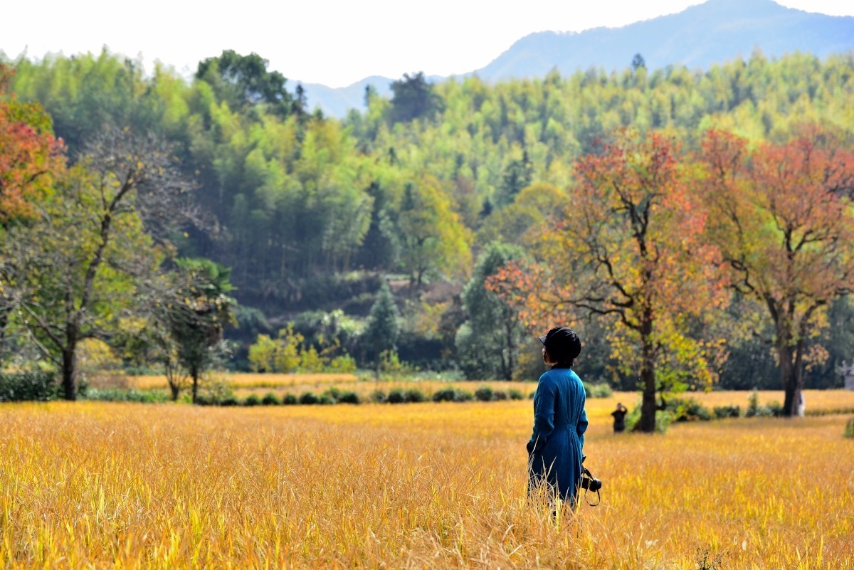 秋染塔川（三）