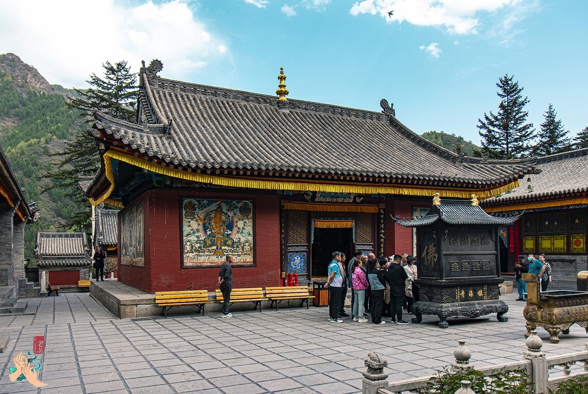 2023-05-15 走马观花逛五台