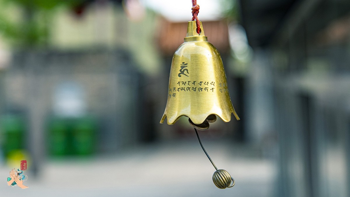 2023-05-15 走马观花逛五台