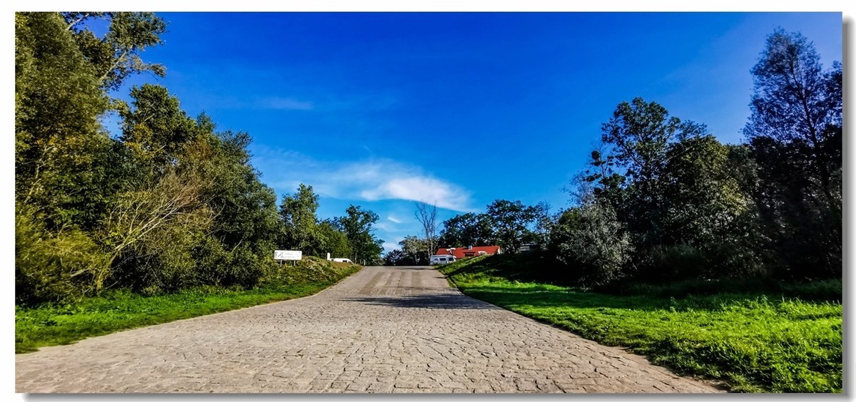 莱茵秋水（德-法）