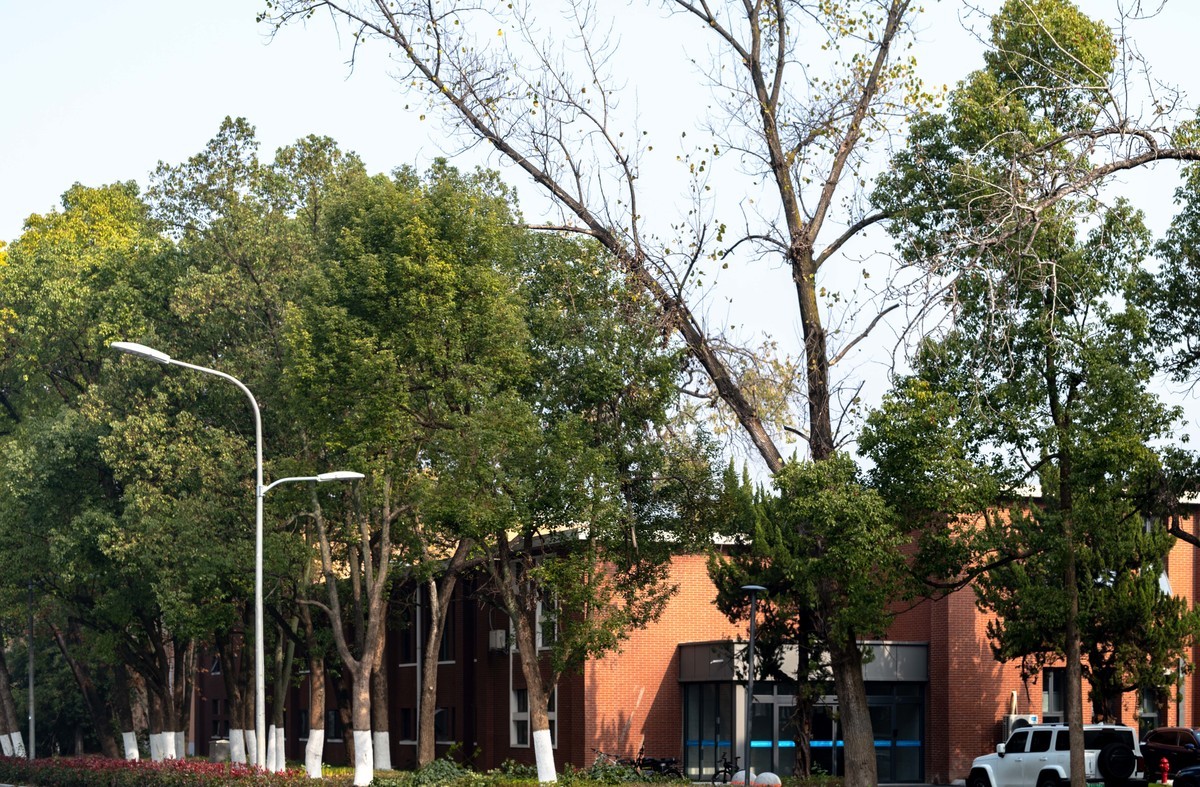 庐州印象（417）合肥科学岛