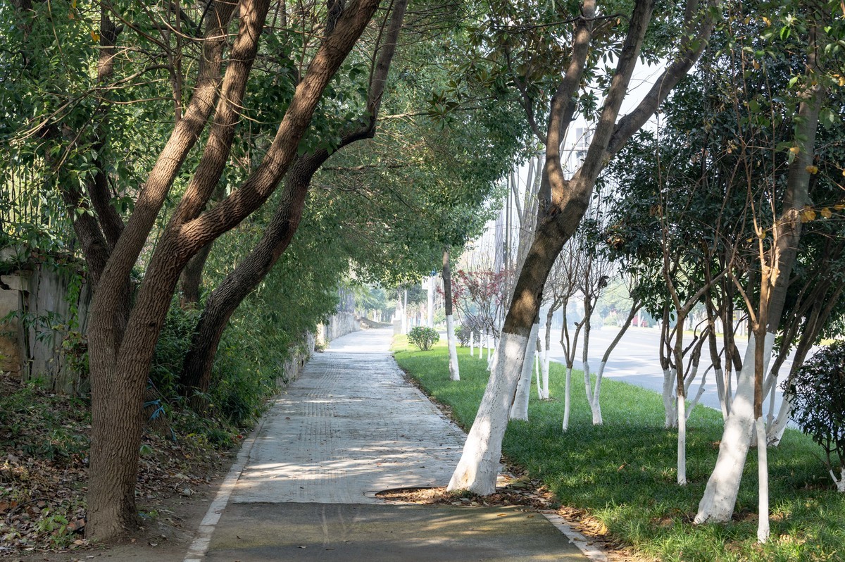 庐州印象（417）合肥科学岛