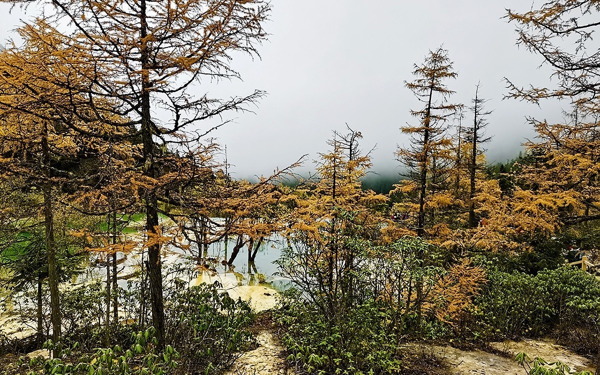 22108---四川随拍（33）