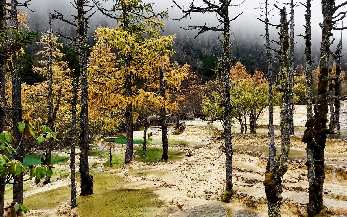 22108---四川随拍（33）