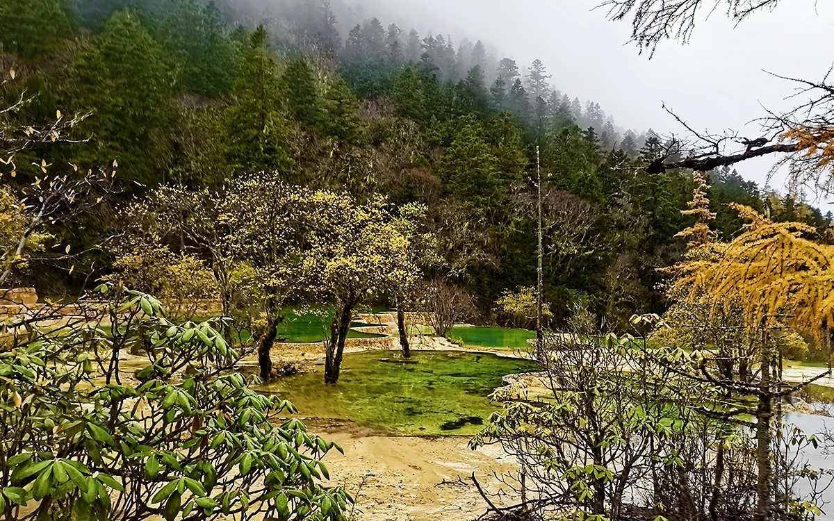 22108---四川随拍（33）