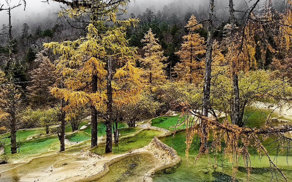 22108---四川随拍（33）