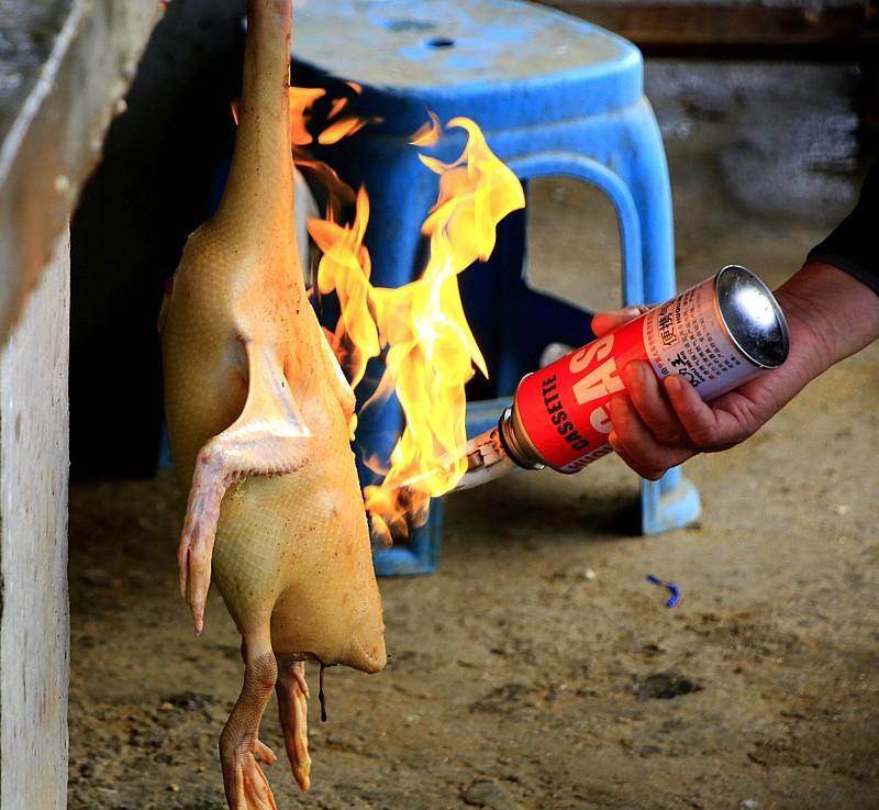 518【不老松：海南游摄纪实】临高县昌拱村小小菜市场!脱毛的鸭子为什么还用火烧？