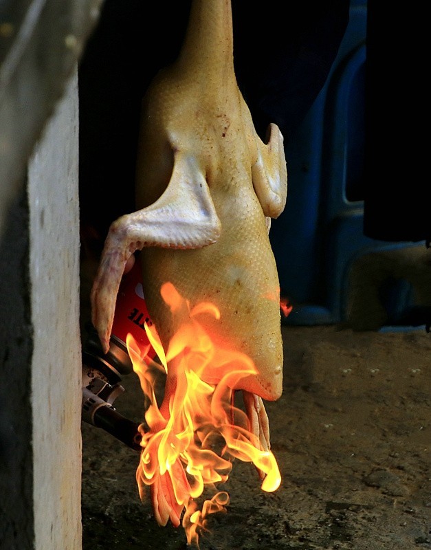 518【不老松：海南游摄纪实】临高县昌拱村小小菜市场!脱毛的鸭子为什么还用火烧？