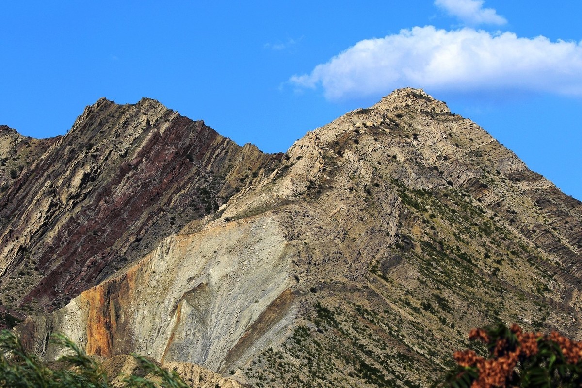 7D2与大白是绝配！