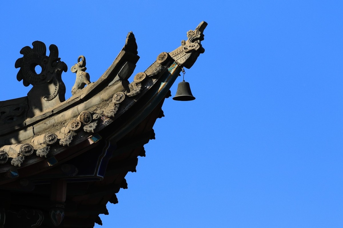 7D2与大白是绝配！