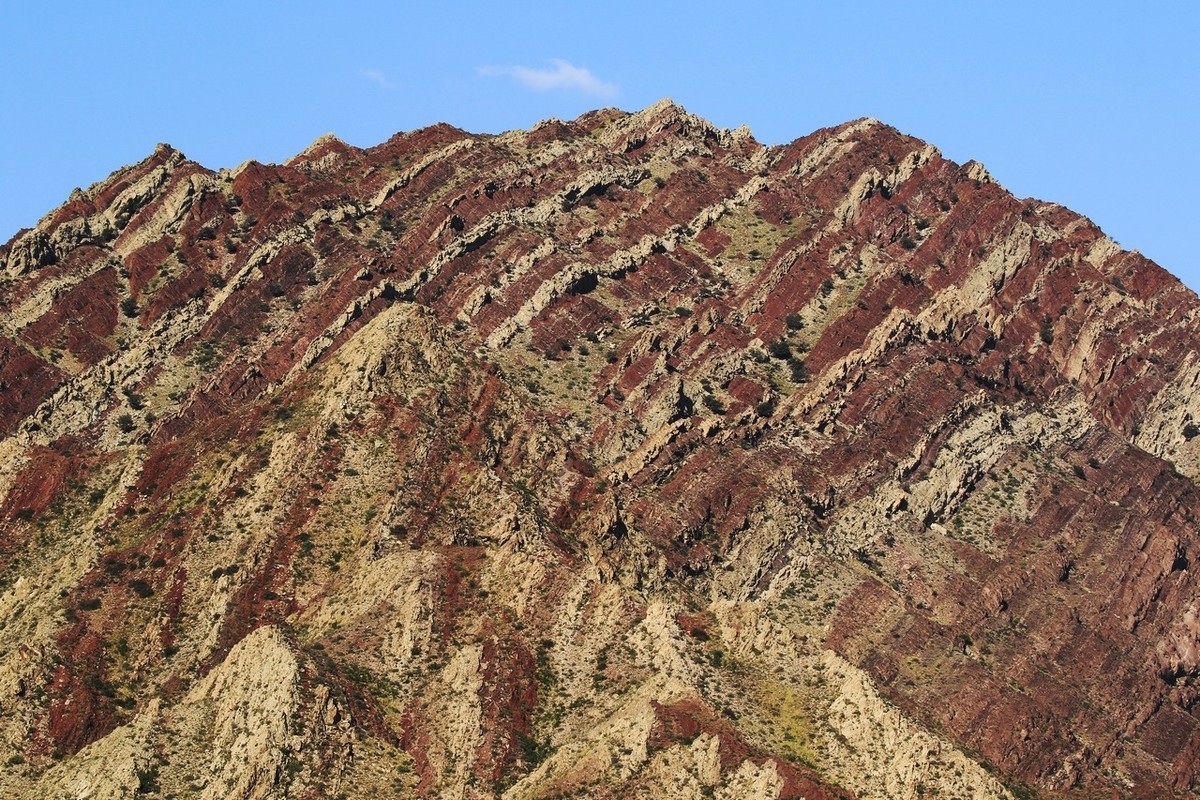 7D2与大白是绝配！