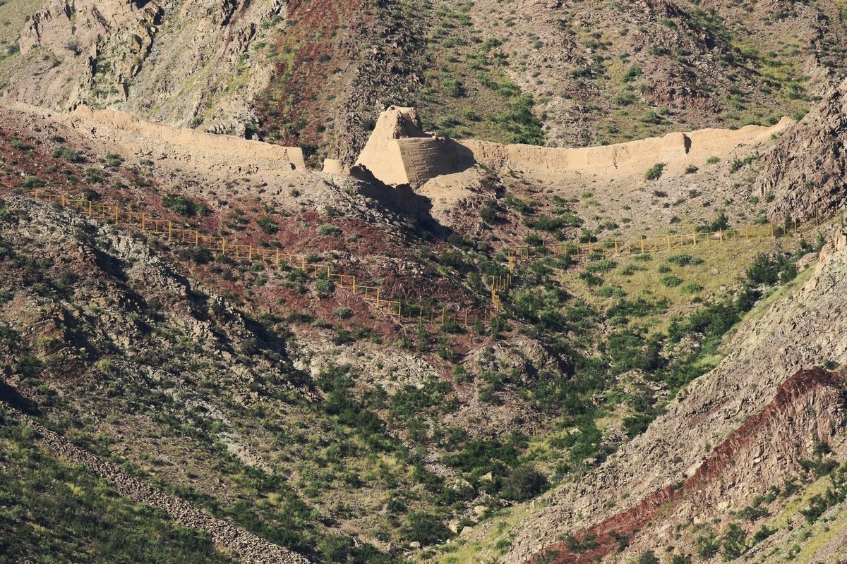 7D2与大白是绝配！