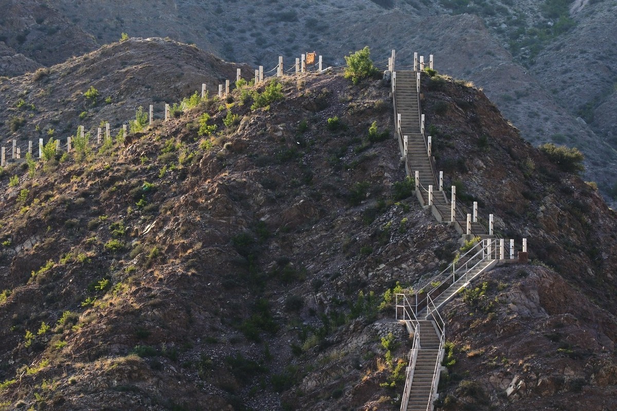 7D2与大白是绝配！