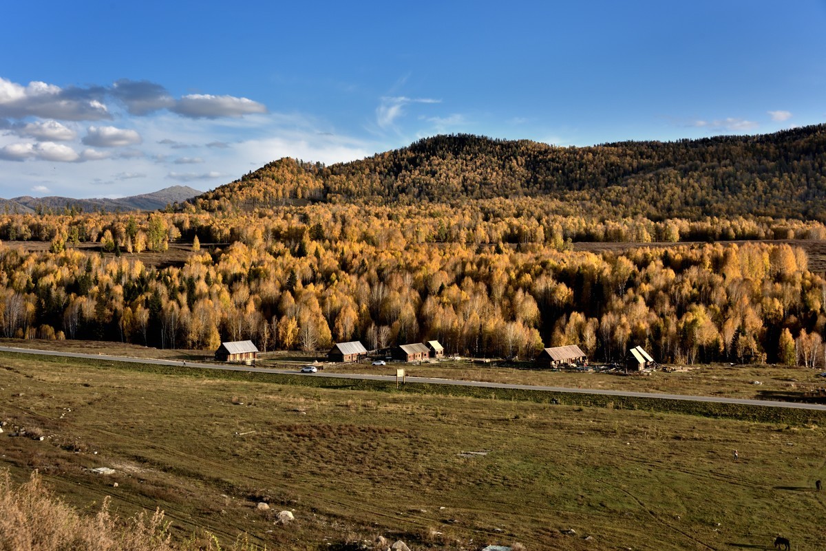 初秋北疆行——禾木村【8】