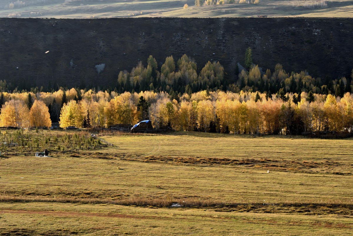 初秋北疆行——禾木村【8】