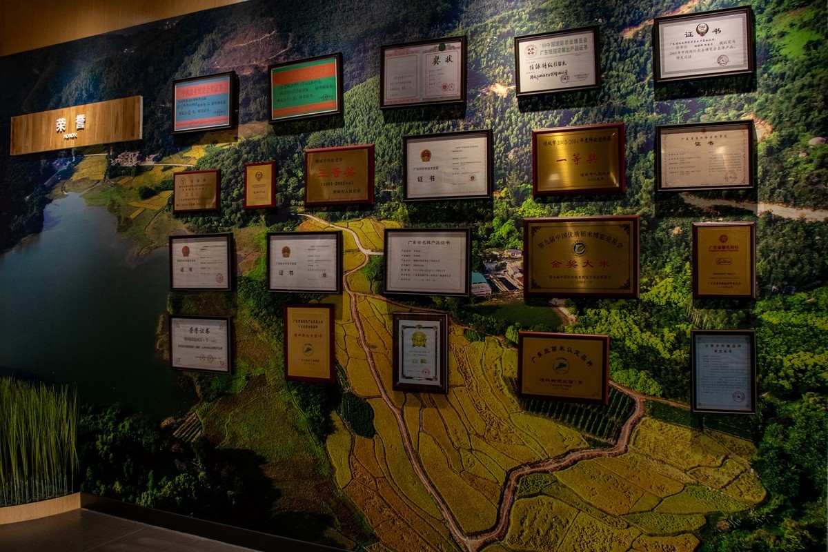 增城丝苗米（一）