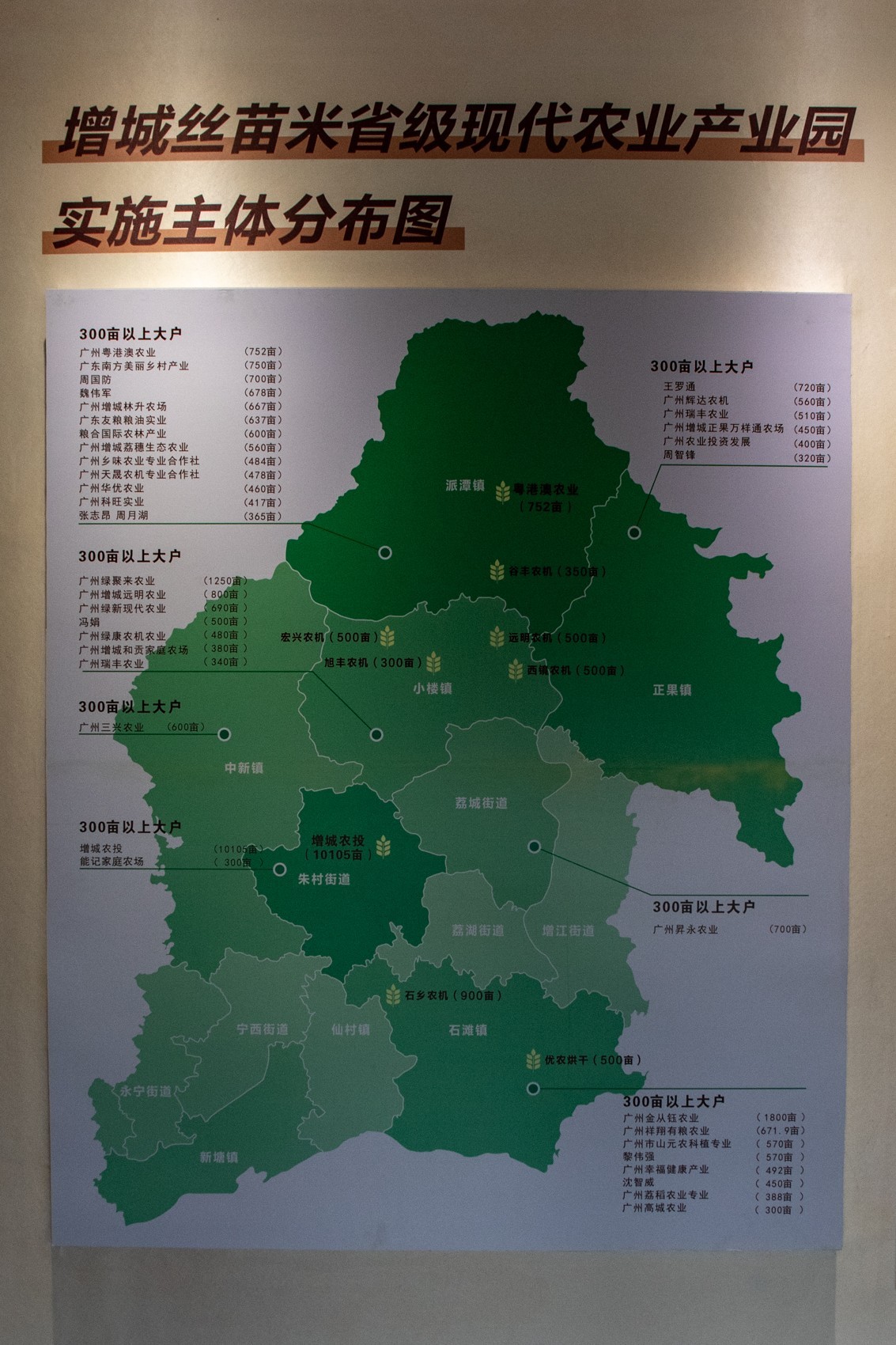 增城丝苗米（一）