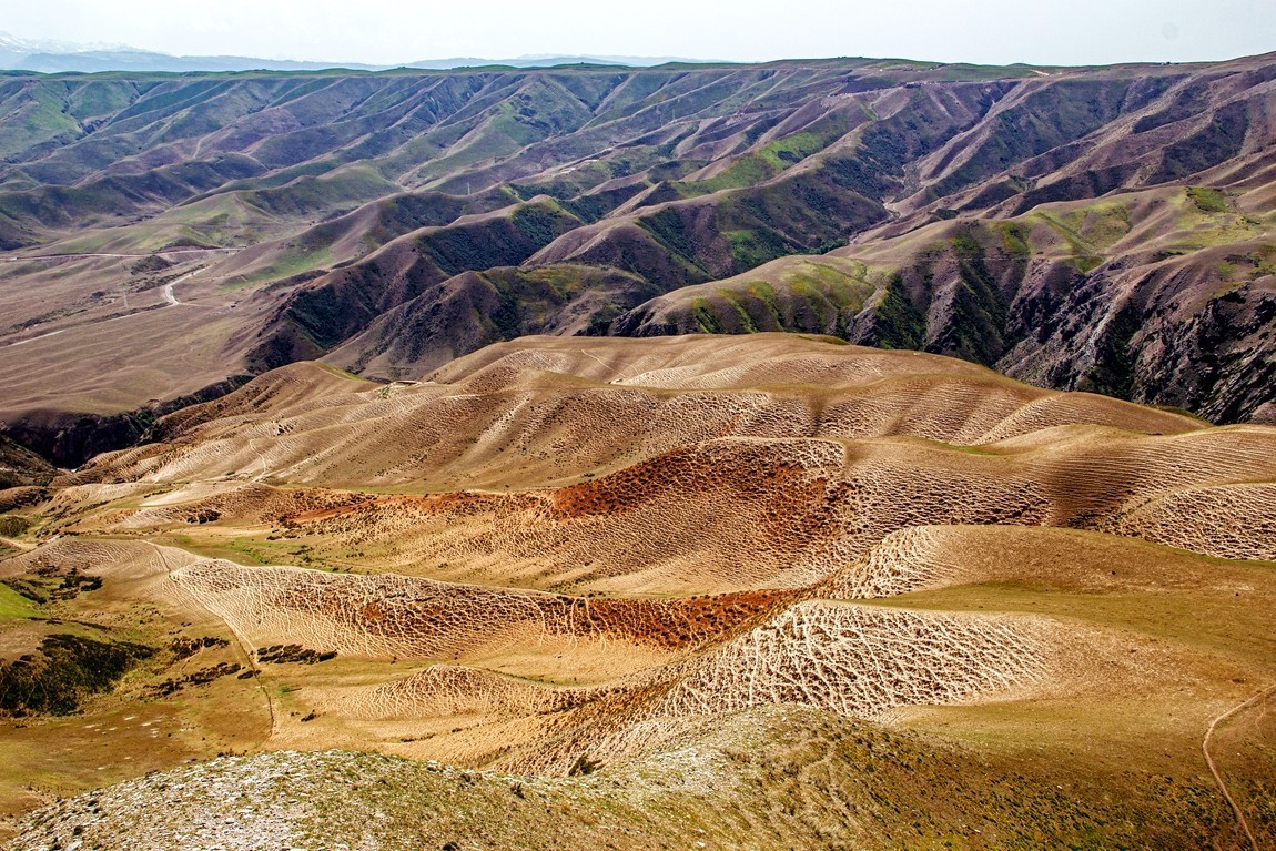 新疆行游--喀拉峻草原【18】