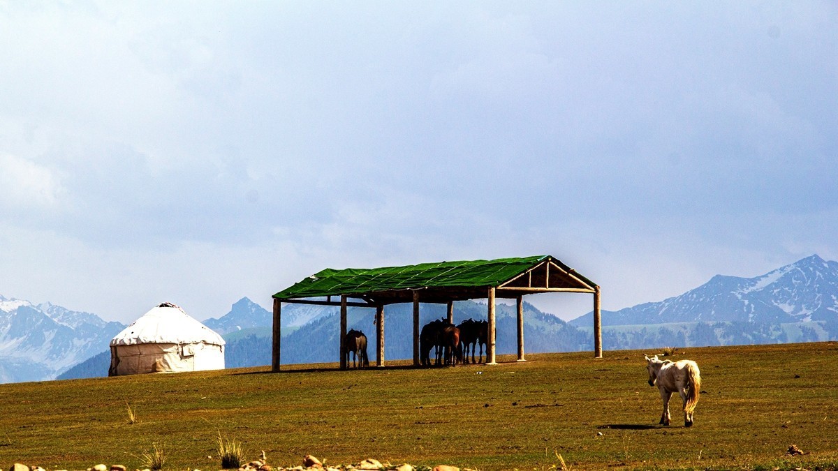 新疆行游--喀拉峻草原【18】