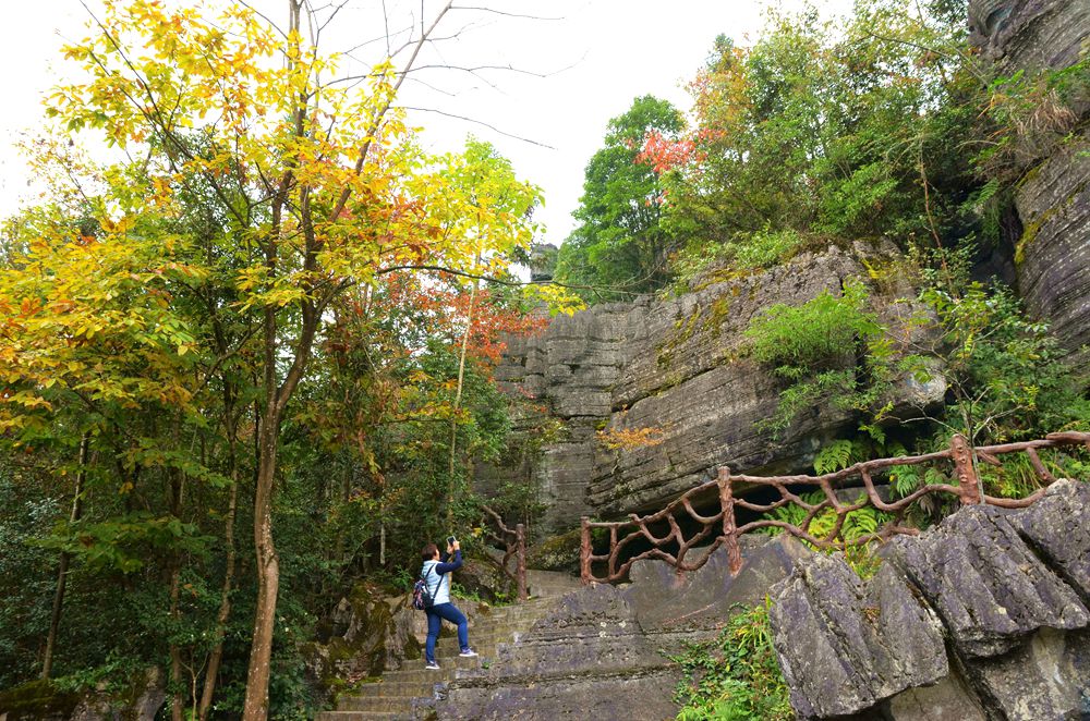 湖北恩施梭布亚石林