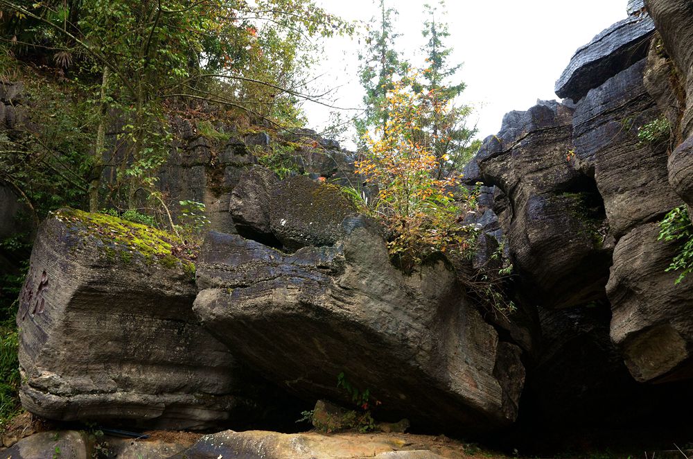 湖北恩施梭布亚石林