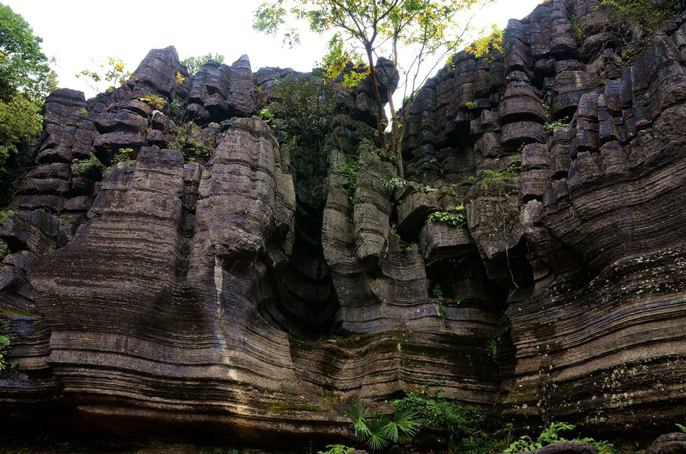 湖北恩施梭布亚石林