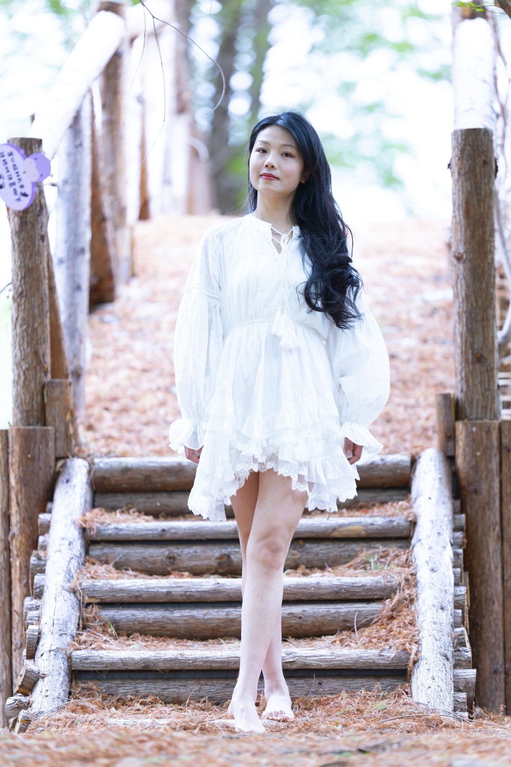 阳光灿烂的一天（贰）