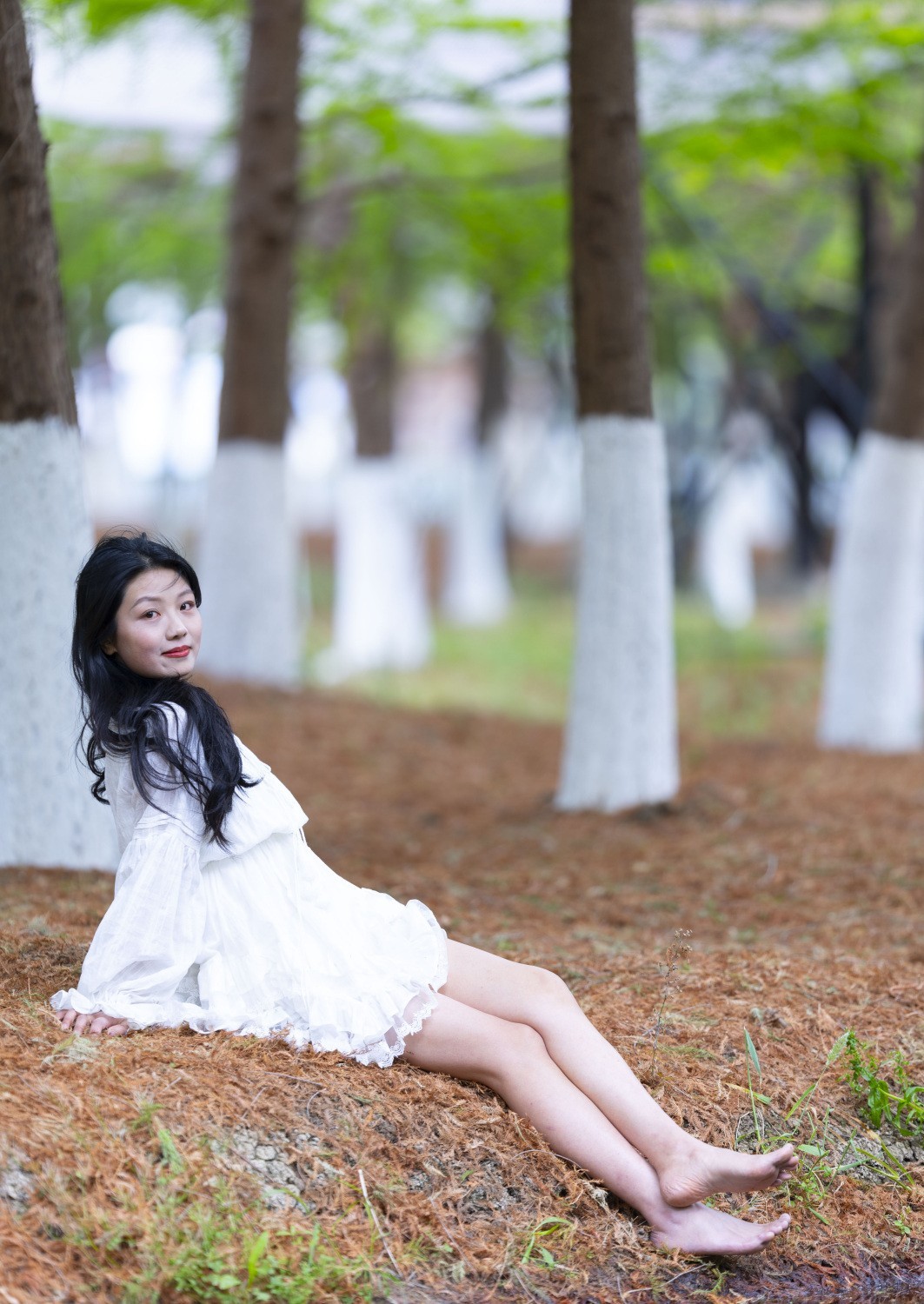 阳光灿烂的一天（贰）