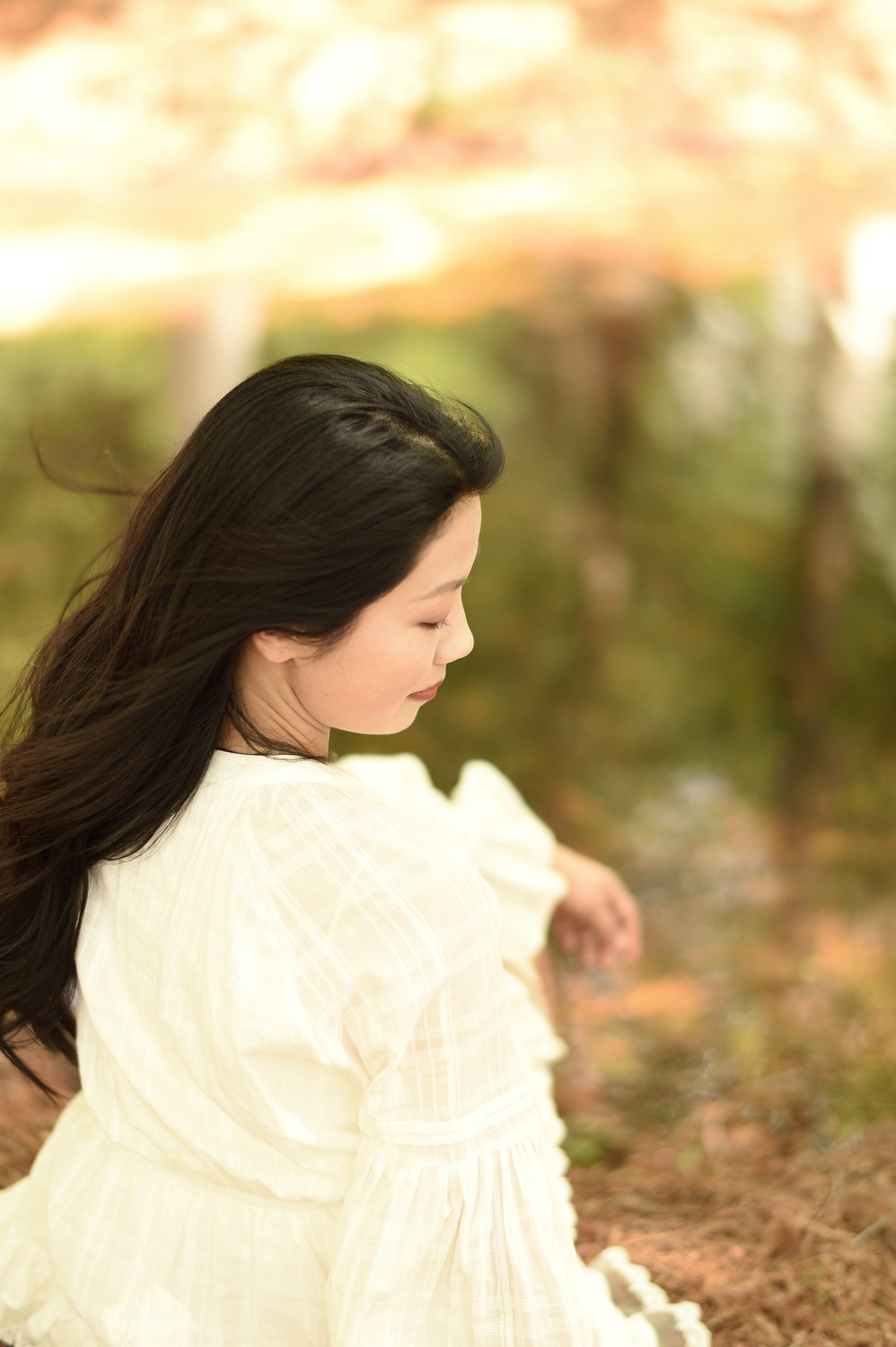 阳光灿烂的一天（贰）