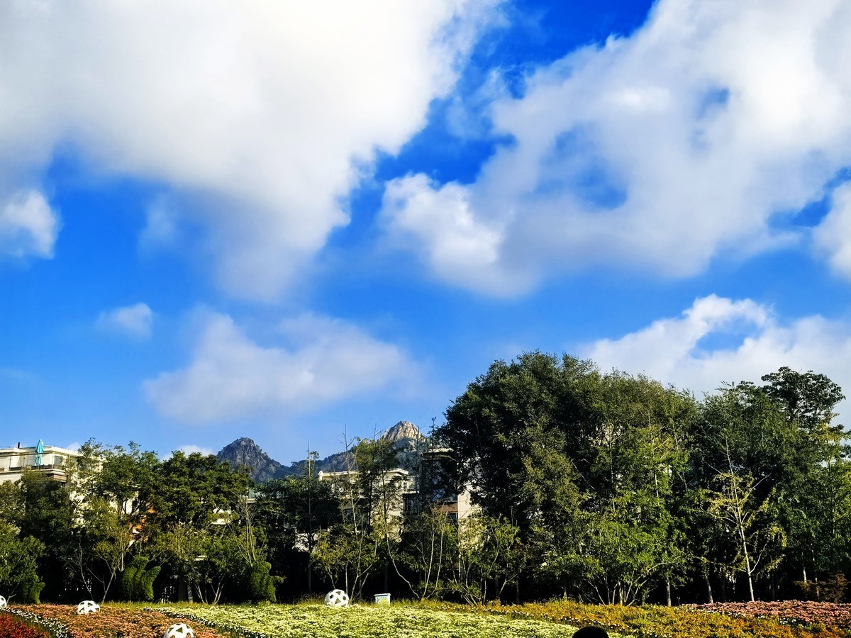 美丽的青岛随拍--华为PURE 70 ULTRE直出五