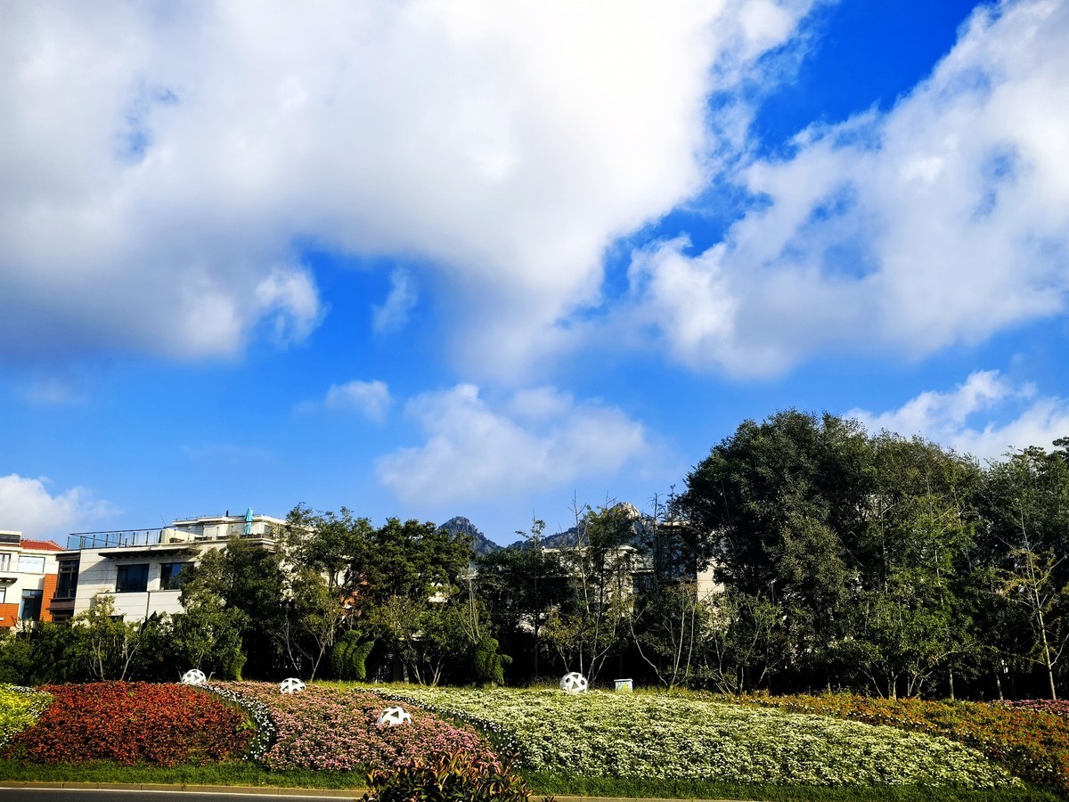 美丽的青岛随拍--华为PURE 70 ULTRE直出五