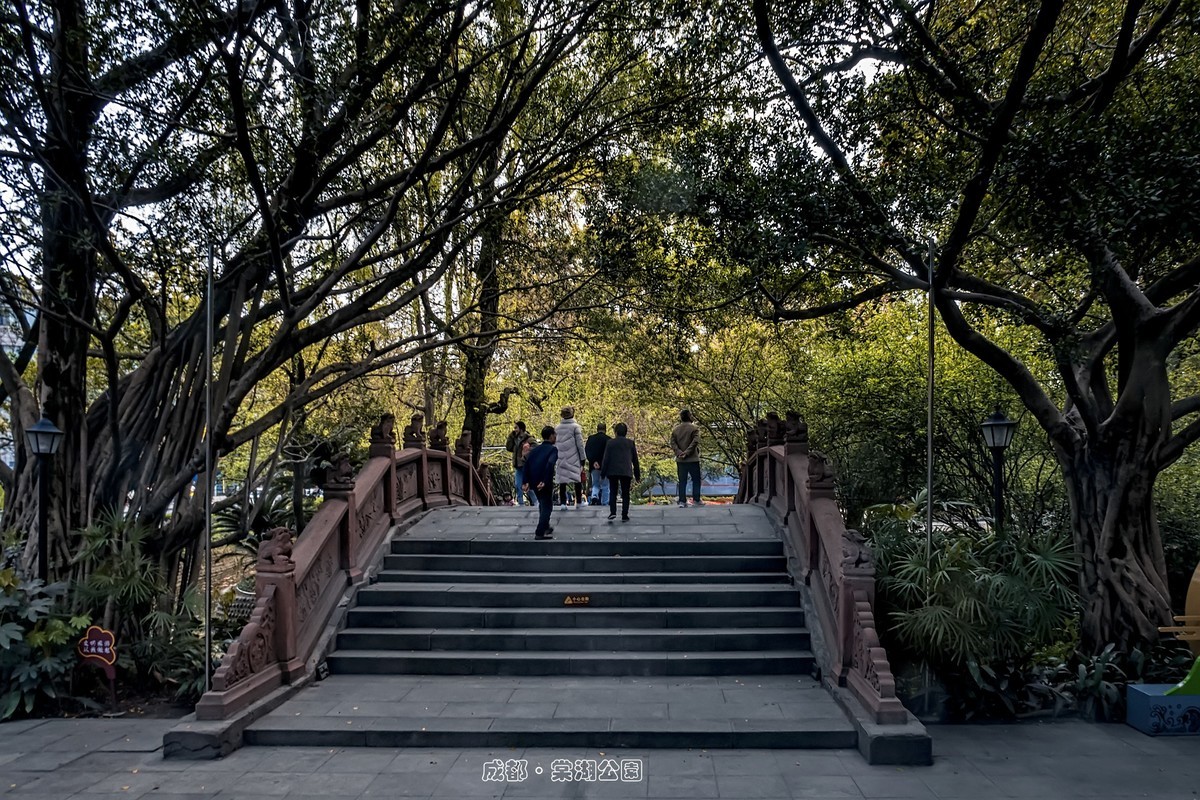 成都 · 棠湖春色