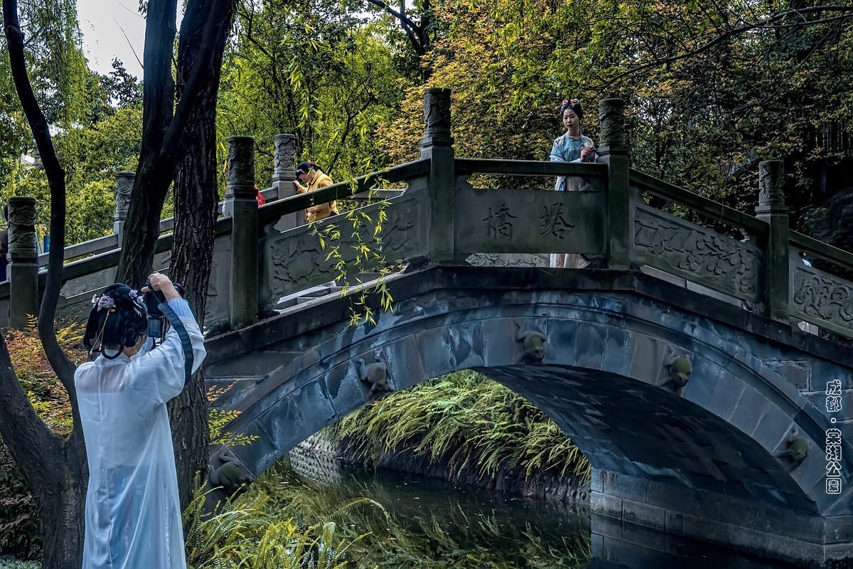 成都 · 棠湖春色