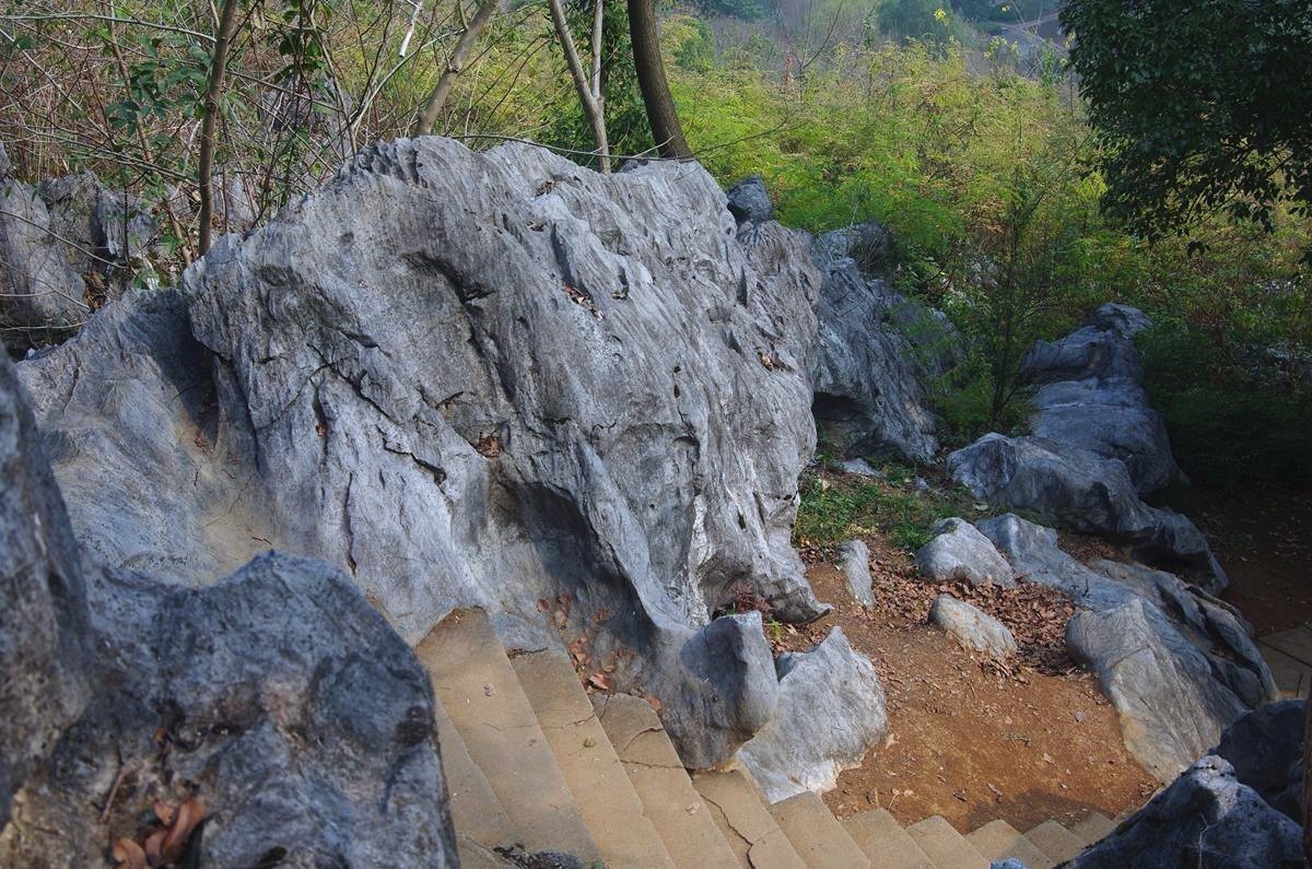三衢石林风景区游记-5