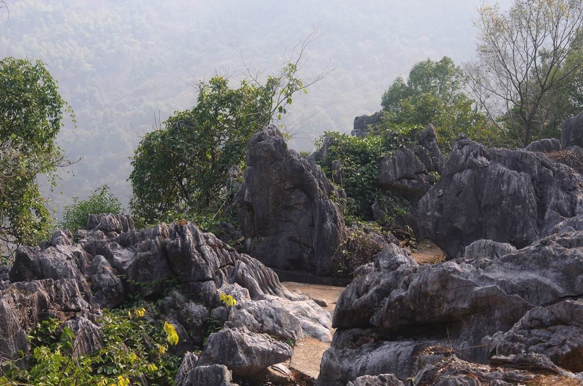 三衢石林风景区游记-5