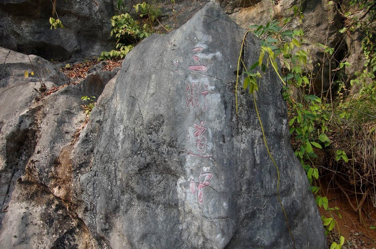 三衢石林风景区游记-5