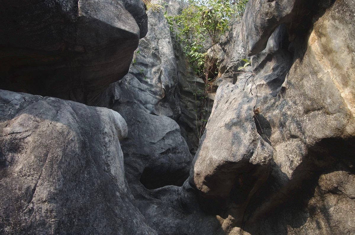 三衢石林风景区游记-5