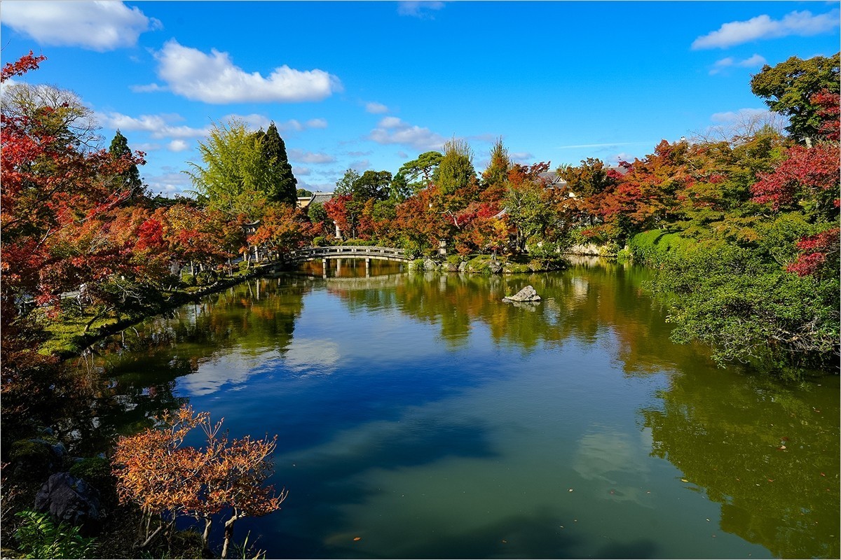 2025年第0004贴-京都永观堂旅拍（0102）