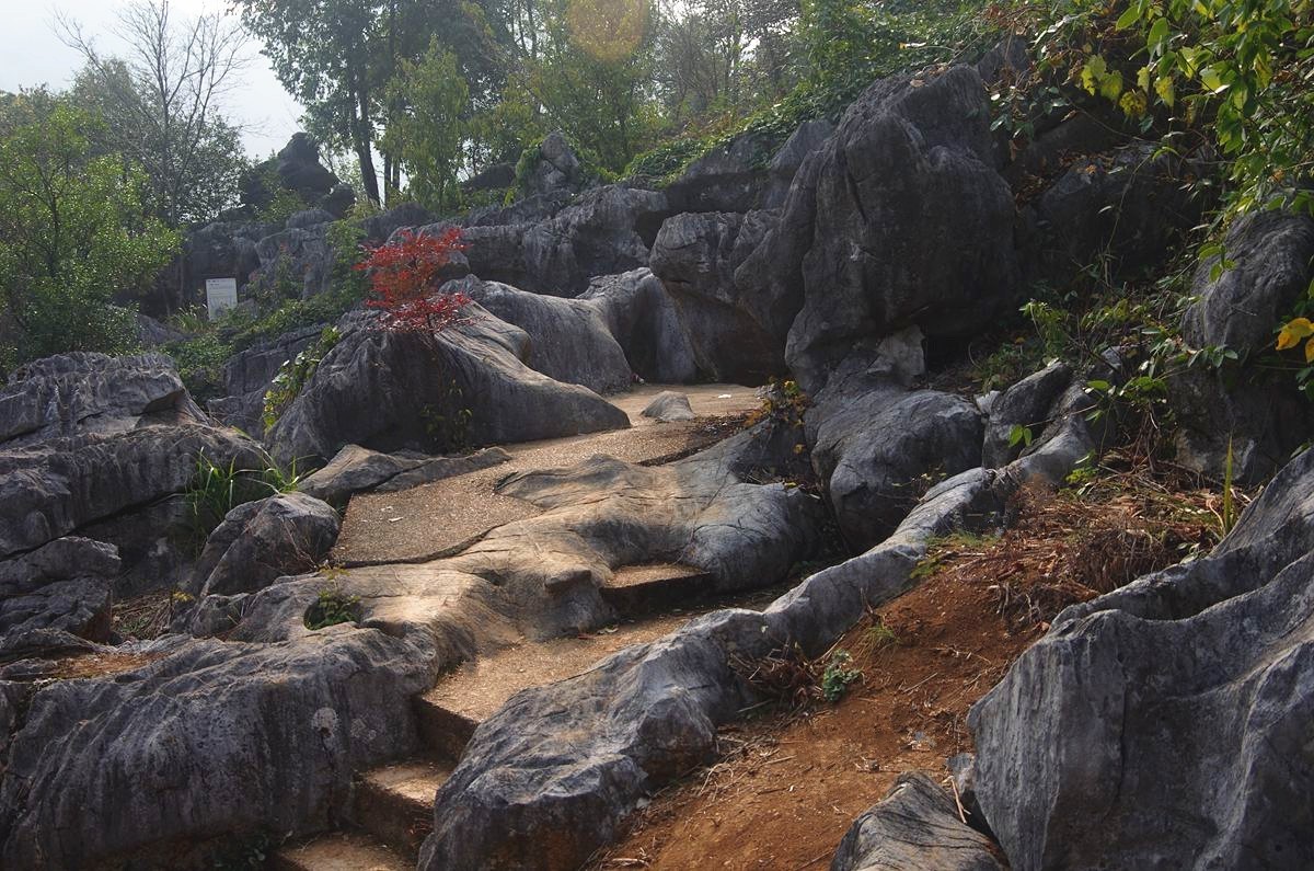 三衢石林风景区游记-5