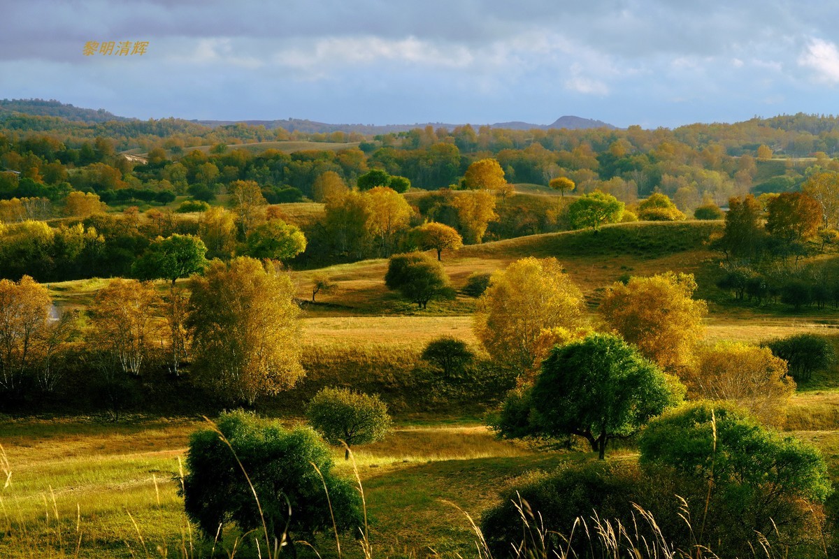 坝上行（25）：景观大道—6