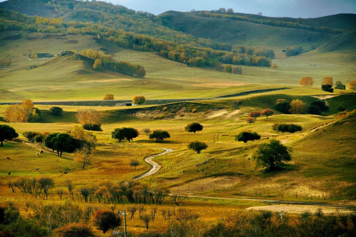 坝上行（25）：景观大道—6