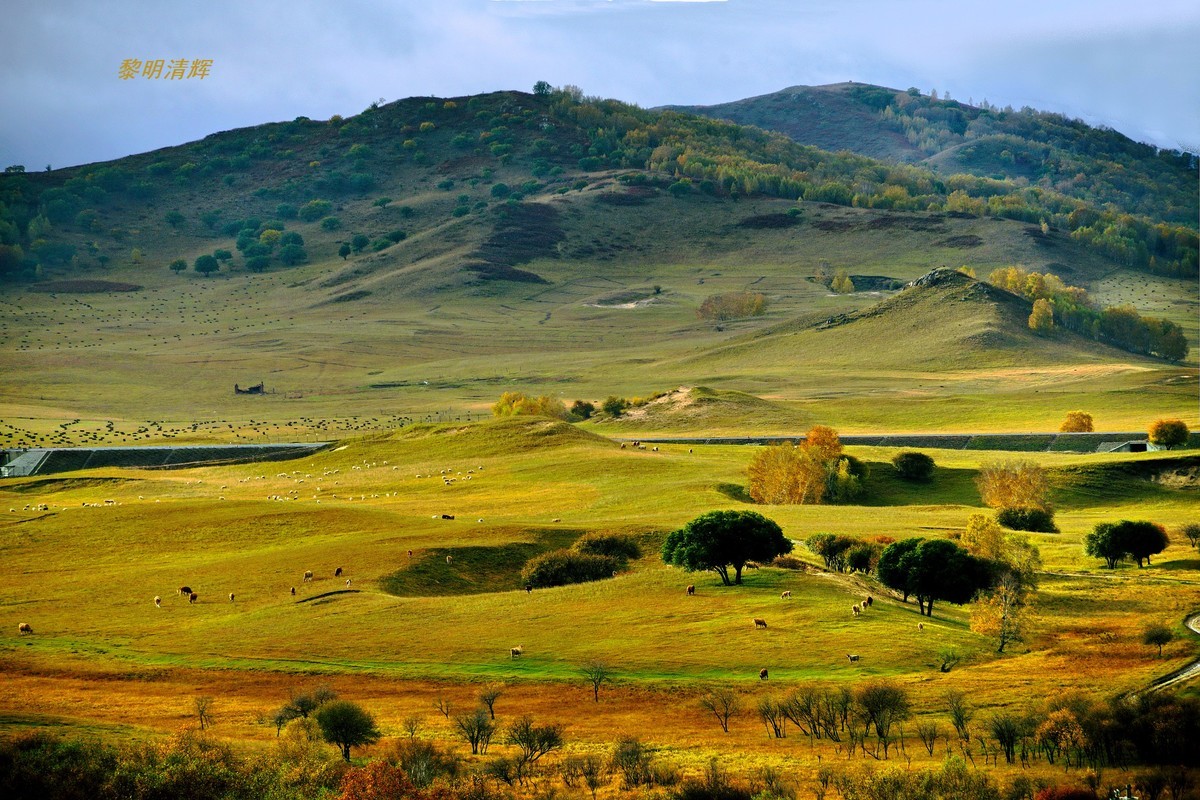 坝上行（25）：景观大道—6