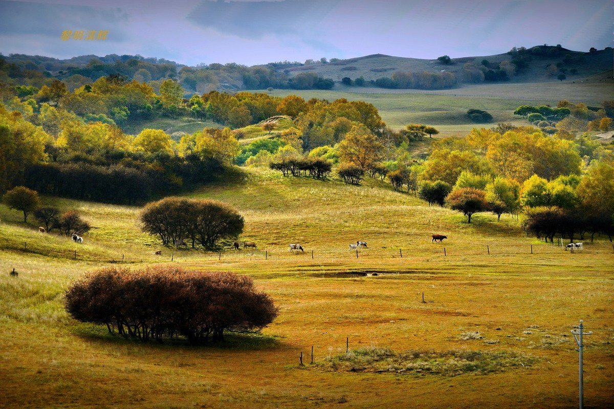 坝上行（25）：景观大道—6