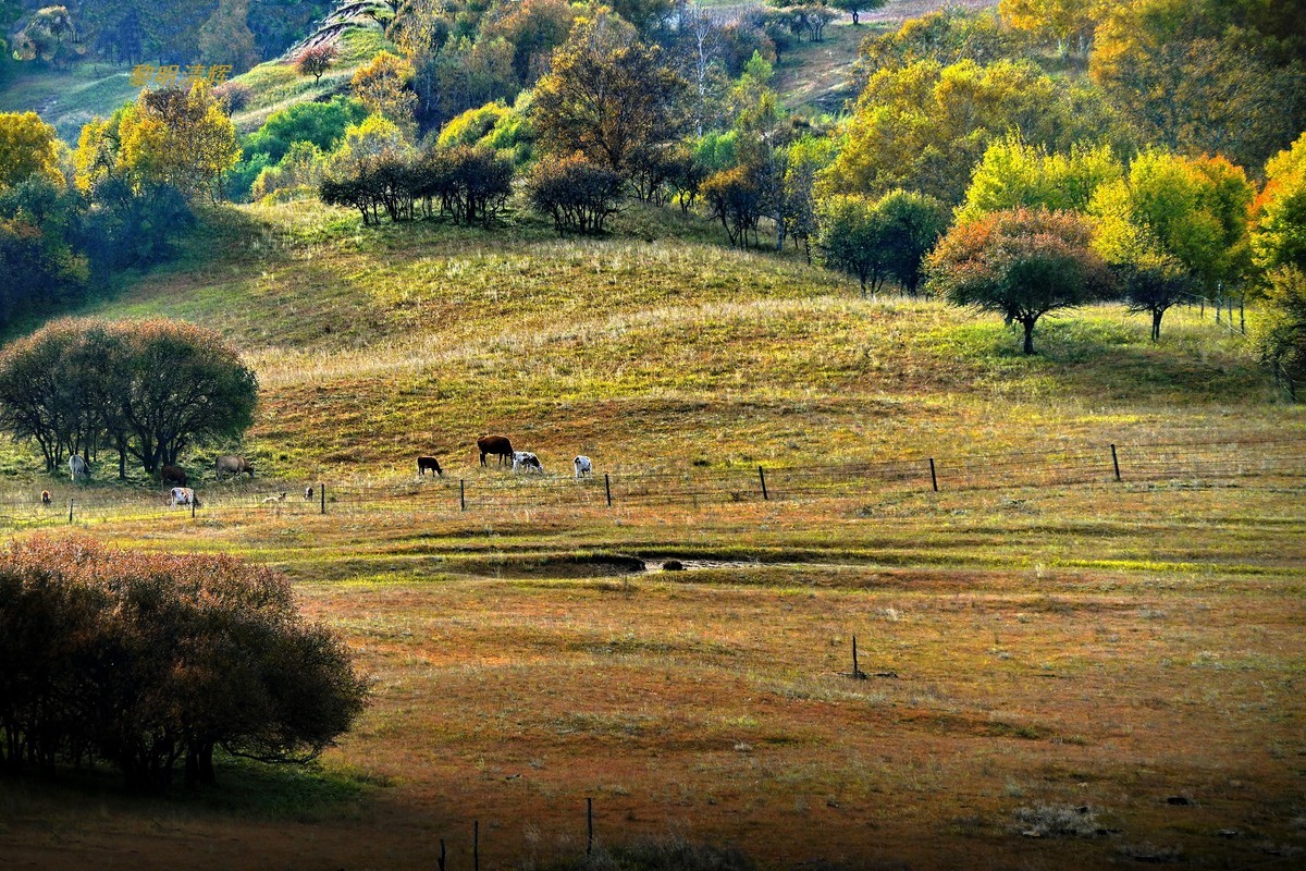 坝上行（25）：景观大道—6